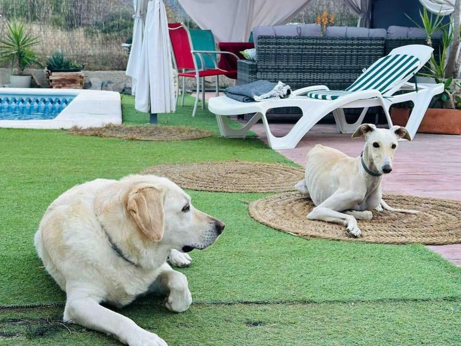 Casa Rural A 4Km De Murcia Con Piscina Y Spa Caliente Zewnętrze zdjęcie