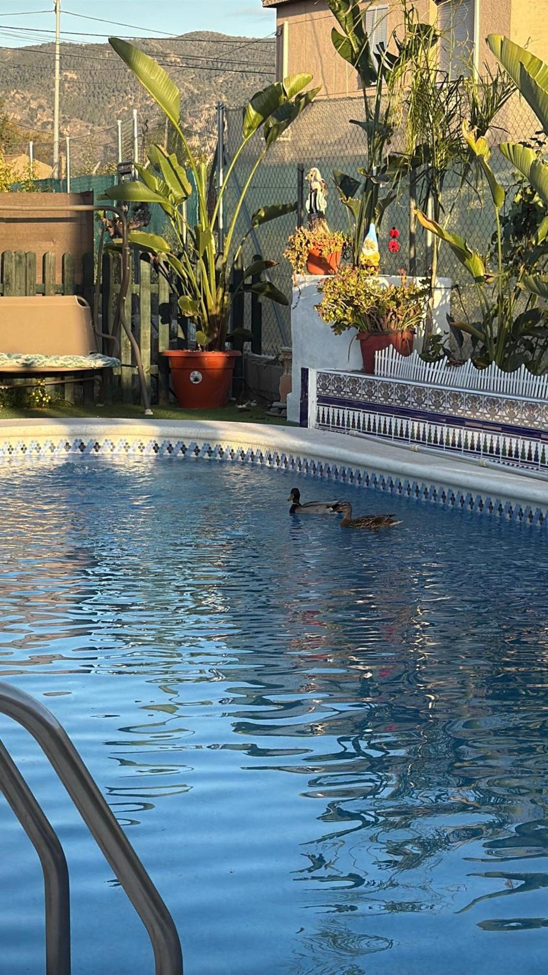 Casa Rural A 4Km De Murcia Con Piscina Y Spa Caliente Zewnętrze zdjęcie